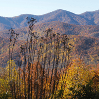 North Carolina Mountains and Fall Views 
