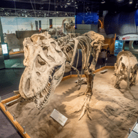 Perot Museum of Nature and Science and T. Rex