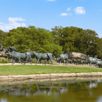 Pioneer Plaza with heard of cattle stampeding