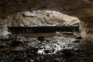 Rock Bridge Memorial State Park