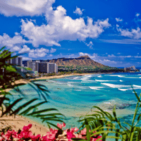 Ocean View of Hawaii with Beautiful Sky and Flowers and Hotels