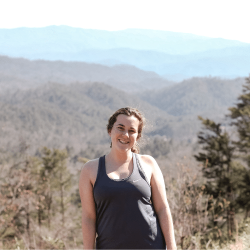 photo overlooking the smokey mountaints